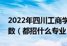 2022年四川工商學(xué)院各省招生計劃及招生人數(shù)（都招什么專業(yè)）