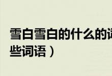 雪白雪白的什么的詞語（雪白雪白的分別有哪些詞語）