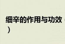 細(xì)辛的作用與功效（細(xì)辛的作用與功效是什么）