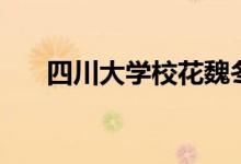 四川大學(xué)?；ㄎ憾穑ū环Q銀杏女神）