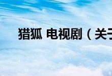 獵狐 電視?。P于獵狐 電視劇的介紹）