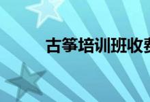 古箏培訓(xùn)班收費(fèi)標(biāo)準(zhǔn)（花費(fèi)多少）