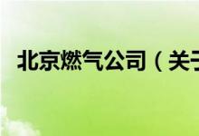 北京燃?xì)夤荆P(guān)于北京燃?xì)夤镜慕榻B）