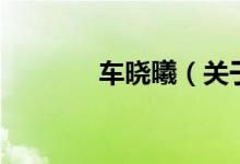 車曉曦（關(guān)于車曉曦的介紹）
