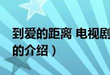 到愛的距離 電視劇（關(guān)于到愛的距離 電視劇的介紹）