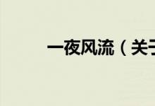 一夜風流（關(guān)于一夜風流的介紹）