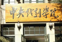 藝考專業(yè)課成績不理想？單憑文化課也考入頂級(jí)藝校