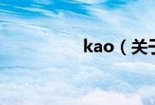 kao（關(guān)于kao的介紹）