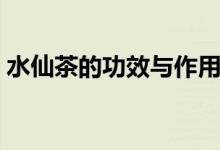 水仙茶的功效與作用（經(jīng)常喝水仙茶的好處）