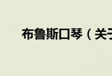 布魯斯口琴（關(guān)于布魯斯口琴的介紹）