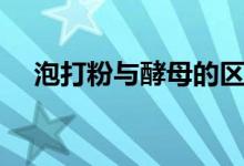 泡打粉與酵母的區(qū)別（主要有這四方面）