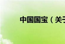 中國國寶（關(guān)于中國國寶的介紹）