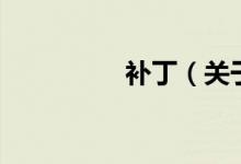 補?。P(guān)于補丁的介紹）