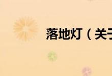 落地?zé)簦P(guān)于落地?zé)舻慕榻B）
