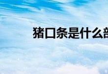 豬口條是什么部位（豬口條介紹）