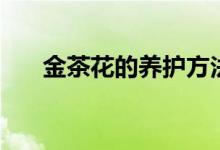 金茶花的養(yǎng)護(hù)方法（金茶花如何養(yǎng)護(hù)）