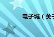 電子城（關于電子城的介紹）