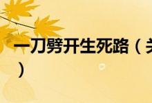 一刀劈開(kāi)生死路（關(guān)于一刀劈開(kāi)生死路的介紹）
