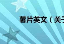 薯片英文（關于薯片英文的介紹）