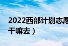 2022西部計劃志愿者有什么出路（結(jié)束后能干嘛去）