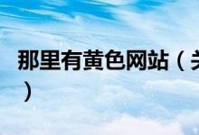 那里有黃色網(wǎng)站（關于那里有黃色網(wǎng)站的介紹）