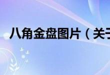 八角金盤(pán)圖片（關(guān)于八角金盤(pán)圖片的介紹）