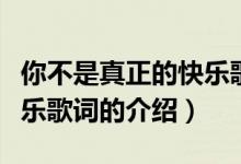 你不是真正的快樂歌詞（關(guān)于你不是真正的快樂歌詞的介紹）