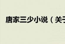唐家三少小說（關(guān)于唐家三少小說的介紹）