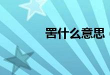 罟什么意思（罟字簡(jiǎn)單介紹）