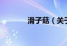 滑子菇（關(guān)于滑子菇的介紹）