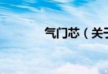 氣門芯（關于氣門芯的介紹）