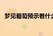 夢(mèng)見(jiàn)葡萄預(yù)示著什么（九種情況為你解析）