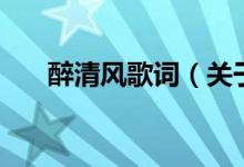 醉清風(fēng)歌詞（關(guān)于醉清風(fēng)歌詞的介紹）