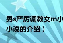 男s嚴厲調教女m小說（關于男s嚴厲調教女m小說的介紹）