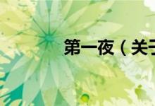 第一夜（關(guān)于第一夜的介紹）