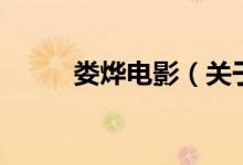 婁燁電影（關(guān)于婁燁電影的介紹）