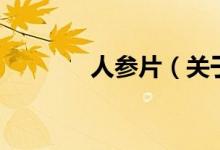 人參片（關(guān)于人參片的介紹）