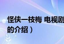 怪俠一枝梅 電視?。P(guān)于怪俠一枝梅 電視劇的介紹）