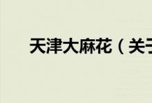 天津大麻花（關(guān)于天津大麻花的介紹）
