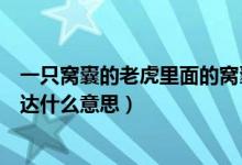 一只窩囊的老虎里面的窩囊是什么意思（一只窩囊的老虎表達什么意思）