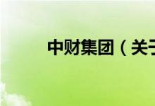中財集團（關于中財集團的介紹）