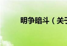 明爭(zhēng)暗斗（關(guān)于明爭(zhēng)暗斗的介紹）