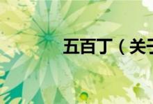 五百?。P(guān)于五百丁的介紹）