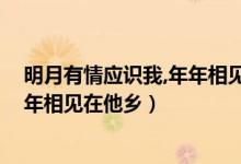 明月有情應(yīng)識(shí)我,年年相見在他鄉(xiāng)作者（明月有情應(yīng)識(shí)我 年年相見在他鄉(xiāng)）