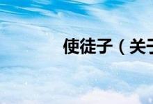 使徒子（關于使徒子的介紹）