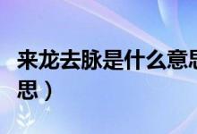 來(lái)龍去脈是什么意思（詞語(yǔ)來(lái)龍去脈是什么意思）
