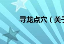 尋龍點穴（關(guān)于尋龍點穴的介紹）
