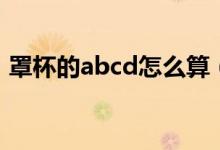 罩杯的abcd怎么算（罩杯的abcd計算方法）