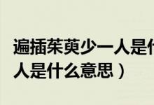 遍插茱萸少一人是什么意思?。ū椴遘镙巧僖蝗耸鞘裁匆馑迹?class=