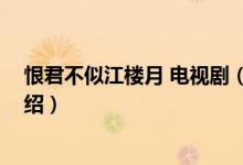 恨君不似江樓月 電視?。P(guān)于恨君不似江樓月 電視劇的介紹）